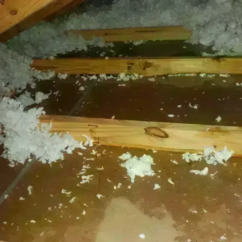 Attic Water Damage in Ramseur, NC